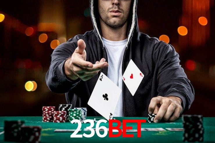 Bônus Generosos e Exclusivos no 236BET para Você!